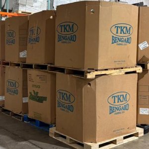 Amazon Premium High Piece LPN Liquidation Truckload - Image 2