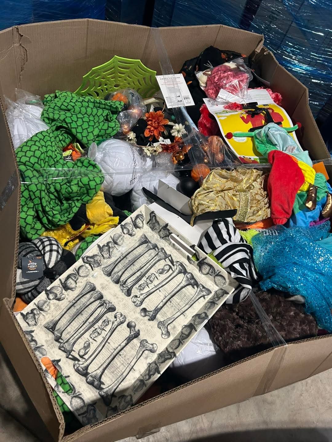 lpd-liquidation-lot-2528.jpg Halloween Costume Liquidation Pallet