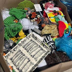 Halloween Costume Liquidation Pallet - Image 2